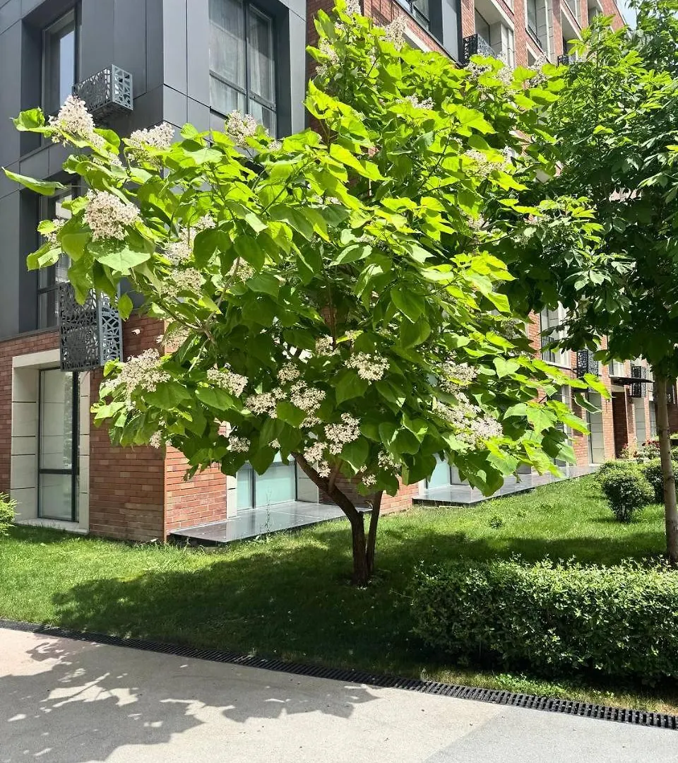 2 Room Apartment 4 You, Flat 22 Alma-Ata